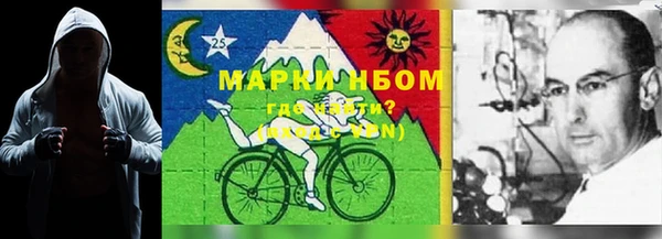первитин Ельня