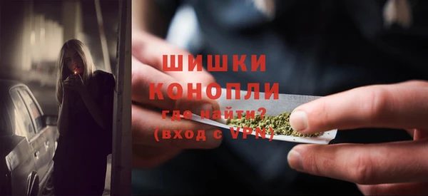 винт Дмитриев