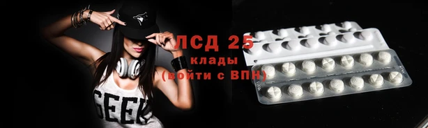 винт Дмитров
