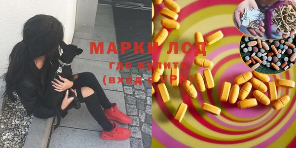 мяу мяу кристалл Елизово
