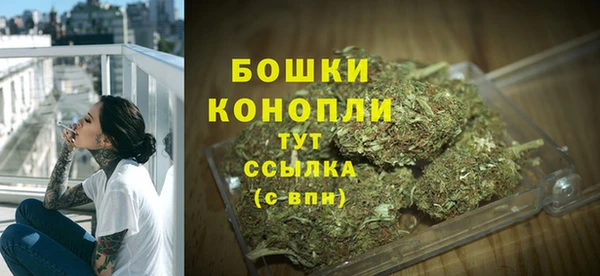 винт Дмитриев