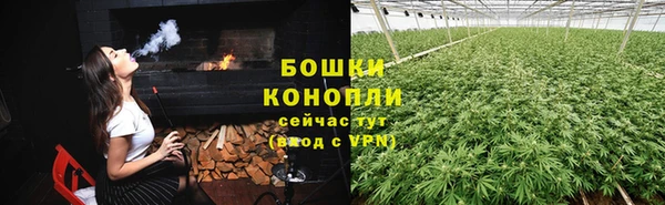 винт Дмитриев