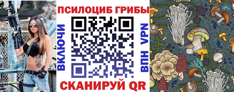Купить закладки  Дмитров  Галлюциногенные грибы ЛСД 