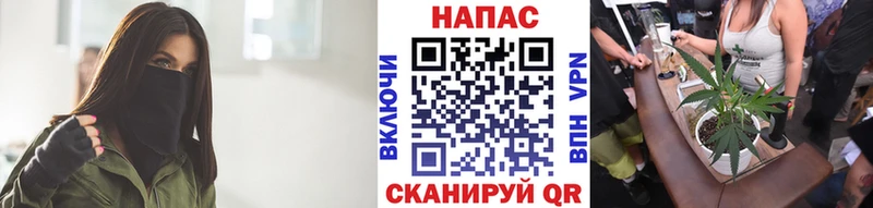 Купить  Дмитров  Бошки Шишки VHQ 